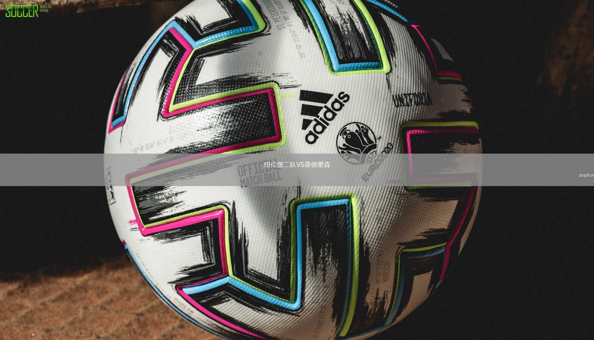 纽伦堡二队VS桑德豪森